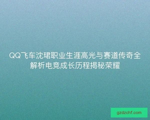 QQ飞车沈珺职业生涯高光与赛道传奇全解析电竞成长历程揭秘荣耀