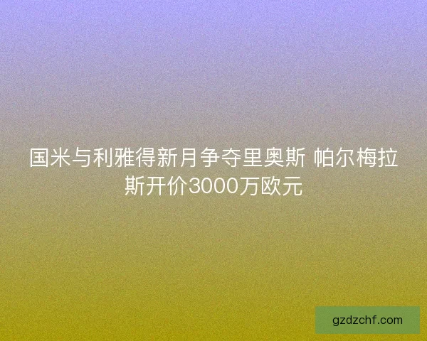国米与利雅得新月争夺里奥斯 帕尔梅拉斯开价3000万欧元