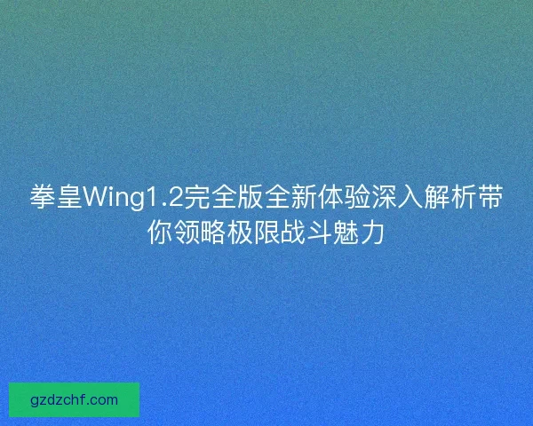 拳皇Wing1.2完全版全新体验深入解析带你领略极限战斗魅力