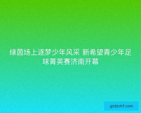 绿茵场上逐梦少年风采 新希望青少年足球菁英赛济南开幕