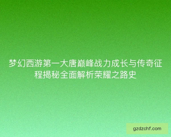 梦幻西游第一大唐巅峰战力成长与传奇征程揭秘全面解析荣耀之路史