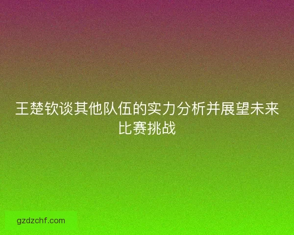 王楚钦谈其他队伍的实力分析并展望未来比赛挑战