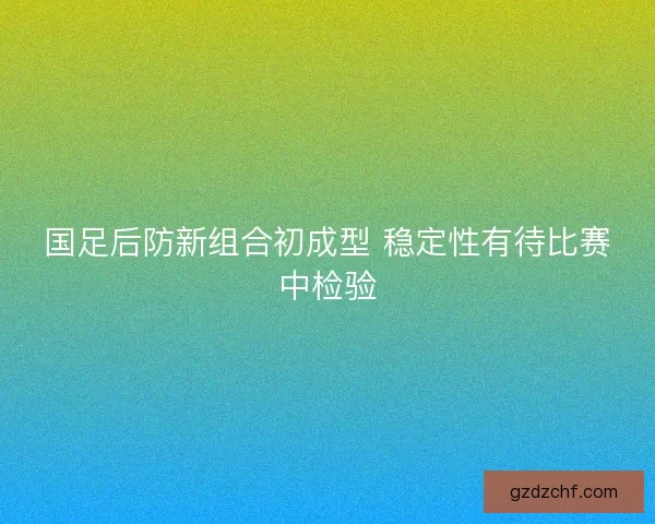 国足后防新组合初成型 稳定性有待比赛中检验