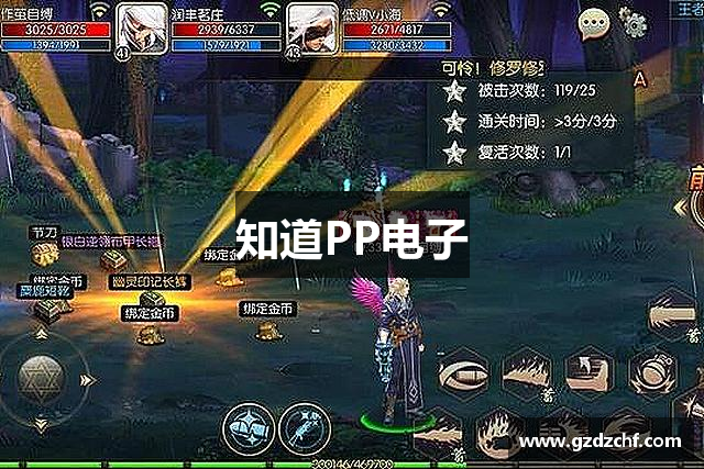 知道PP电子
