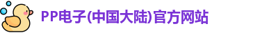 PP电子